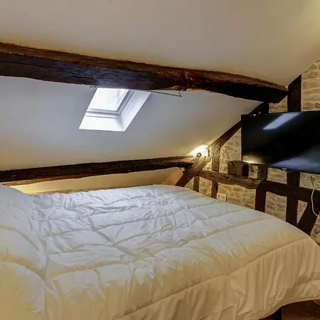 Le Mansard - Topdestination-dijon - Centre - Classe 3 Etoiles 公寓